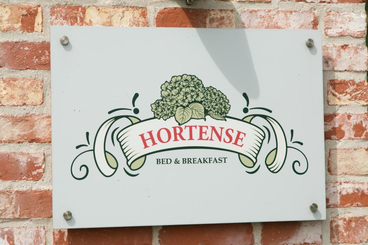 B&B Hortense Koekelare Zewnętrze zdjęcie