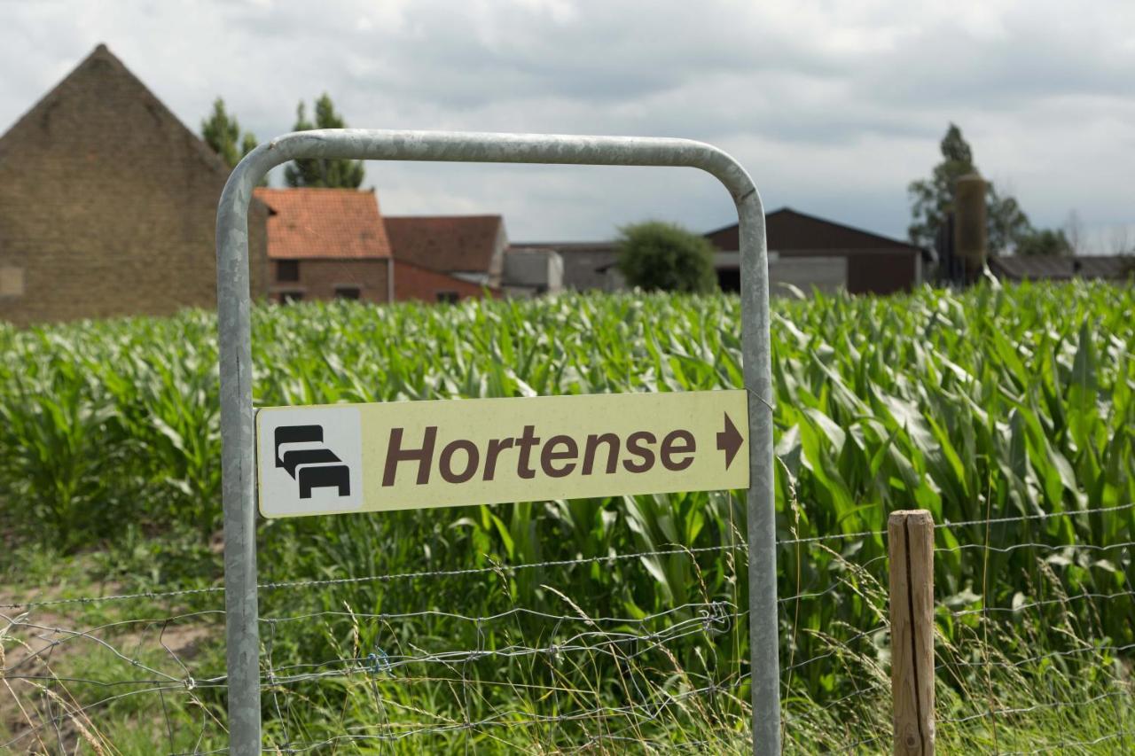 B&B Hortense Koekelare Zewnętrze zdjęcie